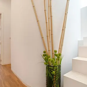  Appartement Genteel Santa Teresa