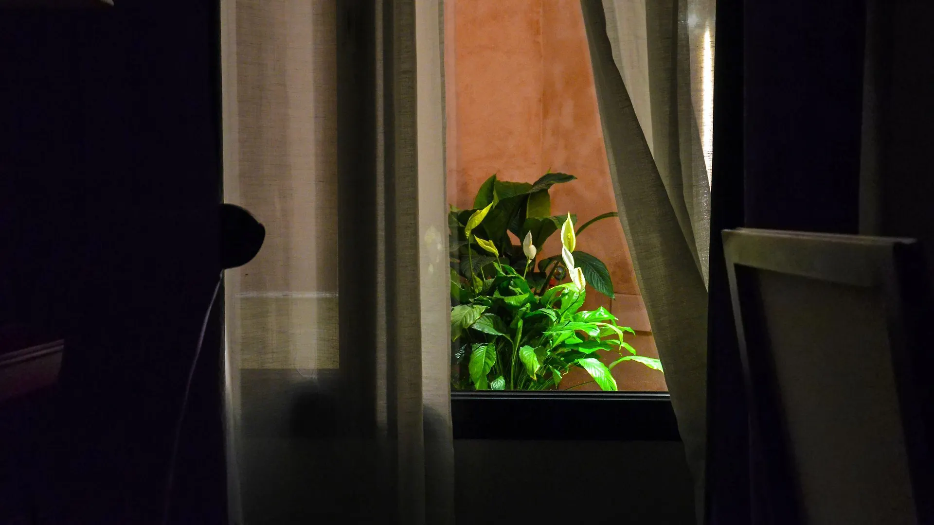Aguilas5 Sevillasuites Spain